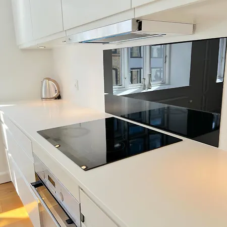 Apartment Amazing Near Tivoli Gardens & Hall Square Copenhagen